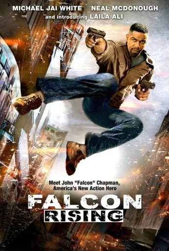 Восхождение Сокола (2013)